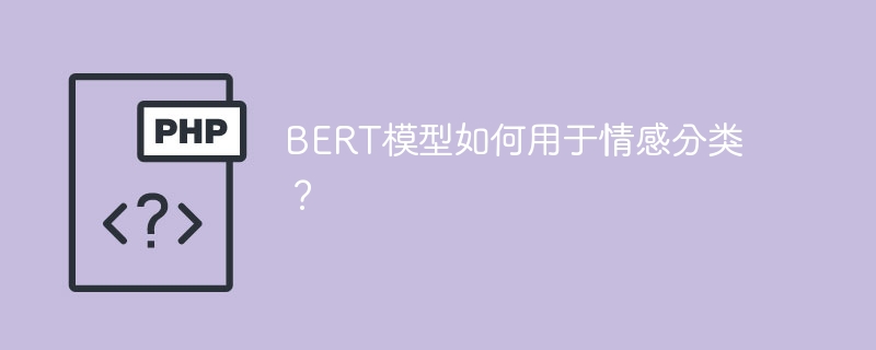 bert模型如何用于情感分类？