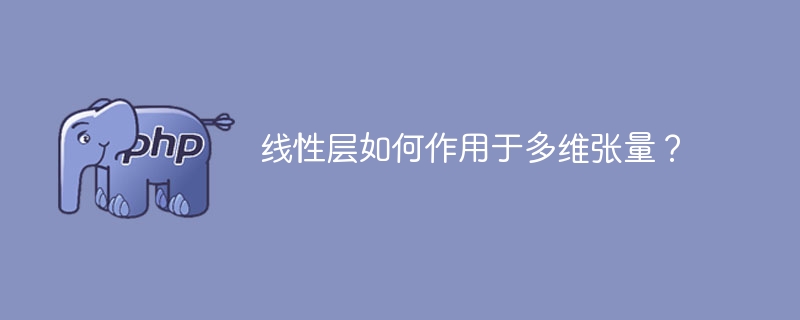 多维张量与线性层的交互原理是什么？