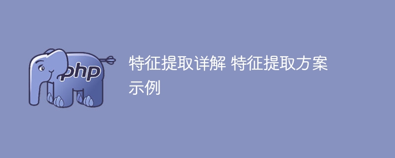 深入解析特征提取 探索特征提取策略的实例