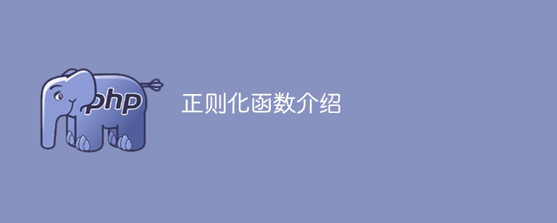 正则化函数介绍