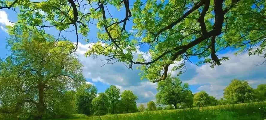 一、选择合适的聊天背景