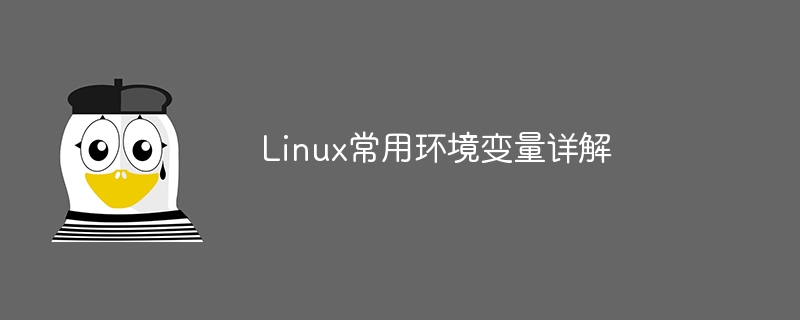 深入理解Linux常见环境变量