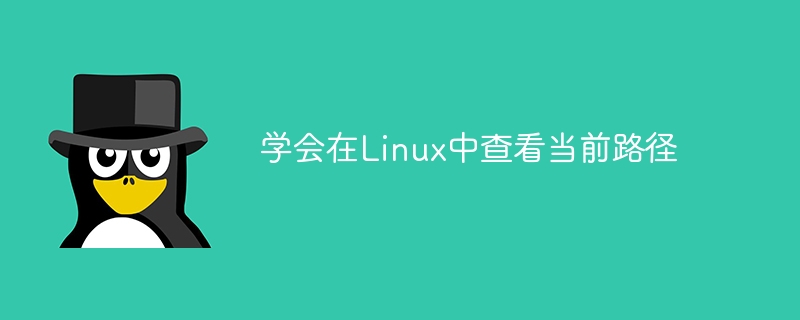 学会在Linux中查看当前路径