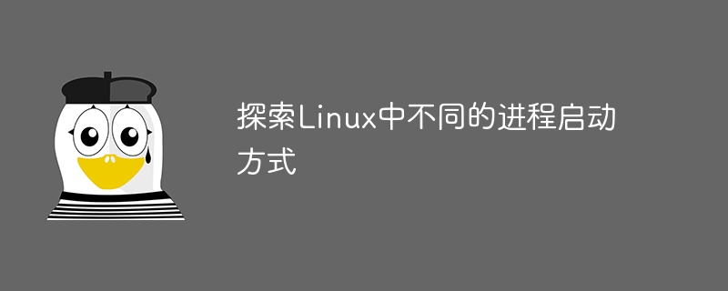探索linux中不同的进程启动方式