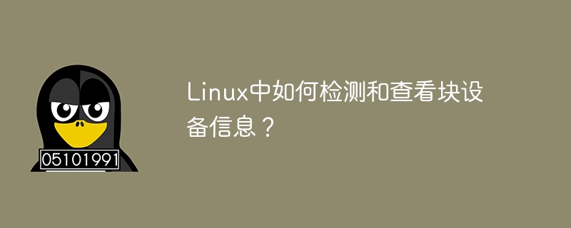 在Linux系统中，如何查看和诊断块设备信息？