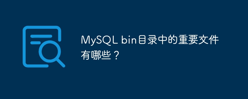 MySQL bin目录中的重要文件有哪些？