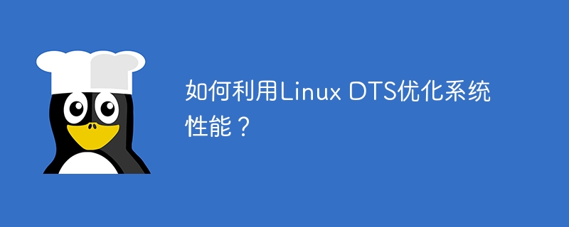 如何利用linux dts优化系统性能？