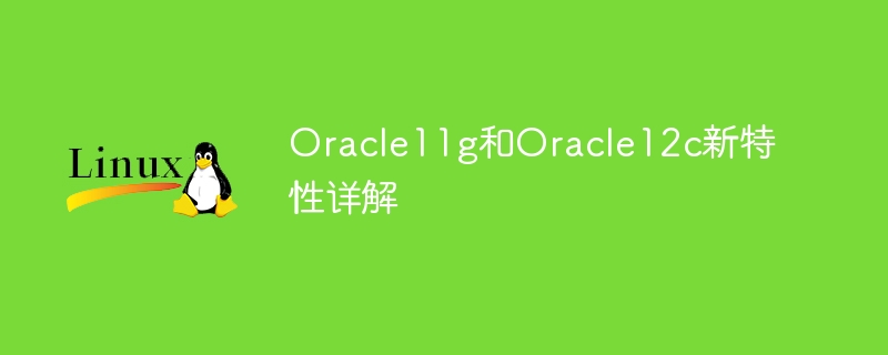 Oracle11g和Oracle12c新特性详解