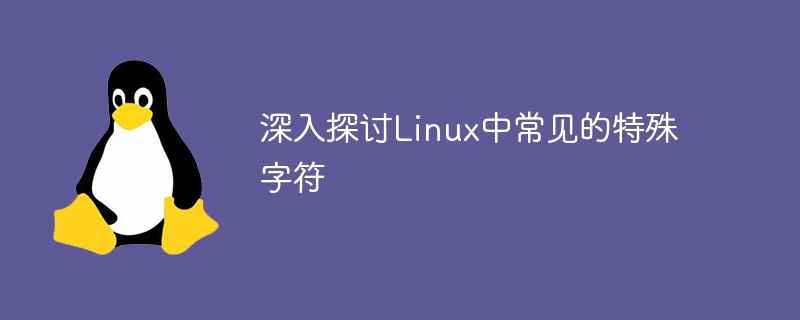 深入探讨Linux中常见的特殊字符