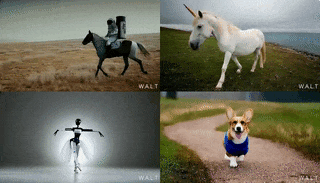 李飞飞解读创业方向「空间智能」，让AI真正理解世界