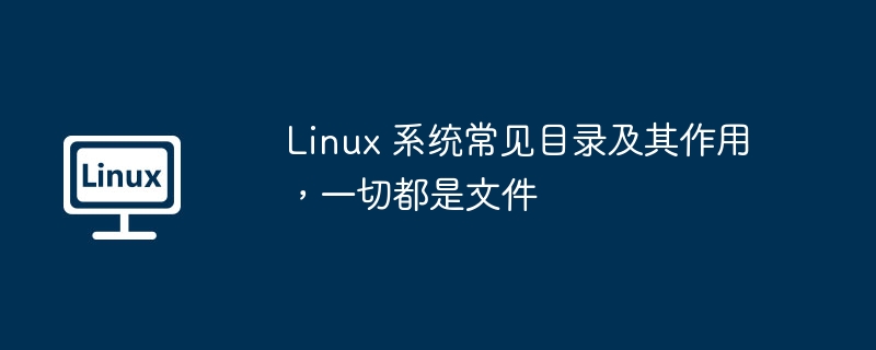 Linux 系统常见目录及其作用，一切都是文件