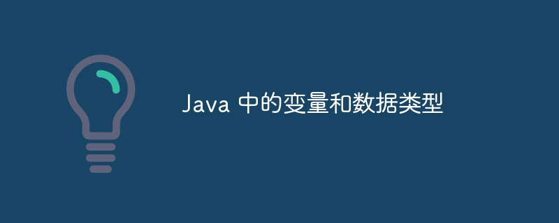 java 中的变量和数据类型