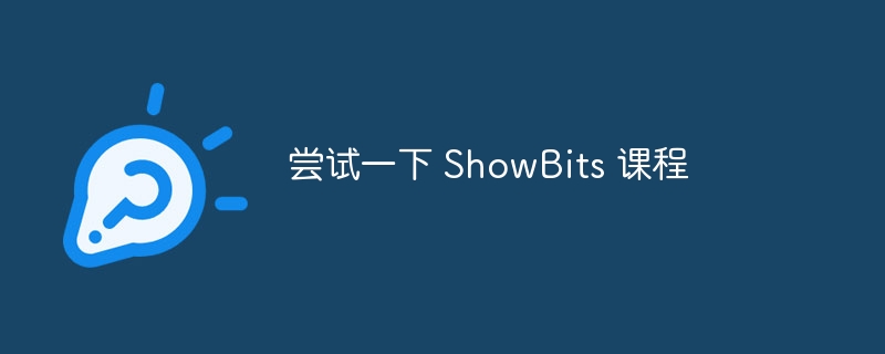 尝试一下 showbits 课程