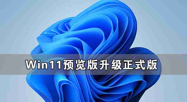Win11 Dev版本可以升级正式版吗