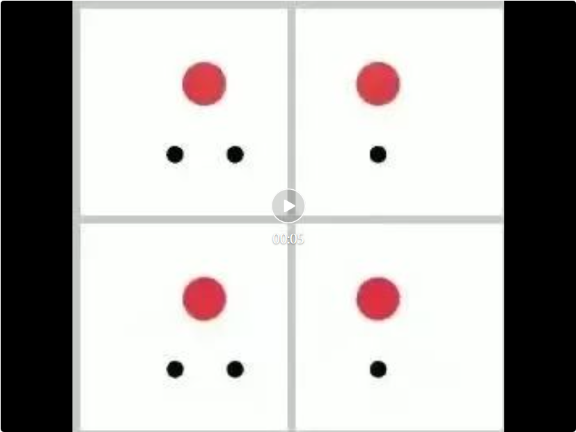 LeCun赞转！类Sora模型能否理解物理规律？字节豆包大模型团队系统性研究揭秘