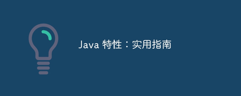 Java 特性：实用指南