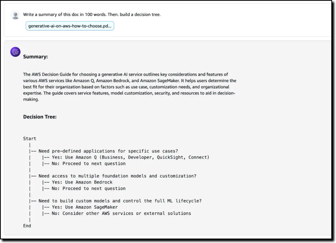 使用Nova Pro执行文档分析示例