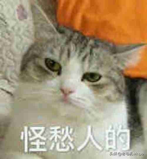 内存占用率90%怎么解决 电脑cpu内存占用过高怎么办