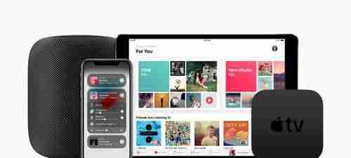 电脑任务栏看不到打开的图标怎么办(教你解决电脑任务栏无法显示图标的问题)