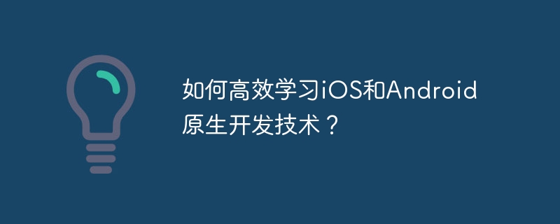 如何高效学习iOS和Android原生开发技术？