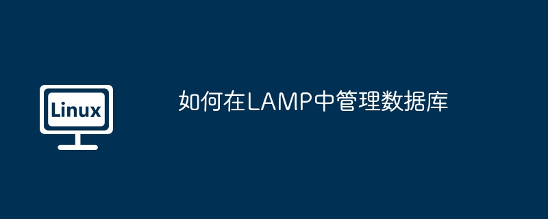如何在LAMP中管理数据库