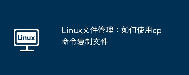 Linux文件管理：如何使用cp命令复制文件