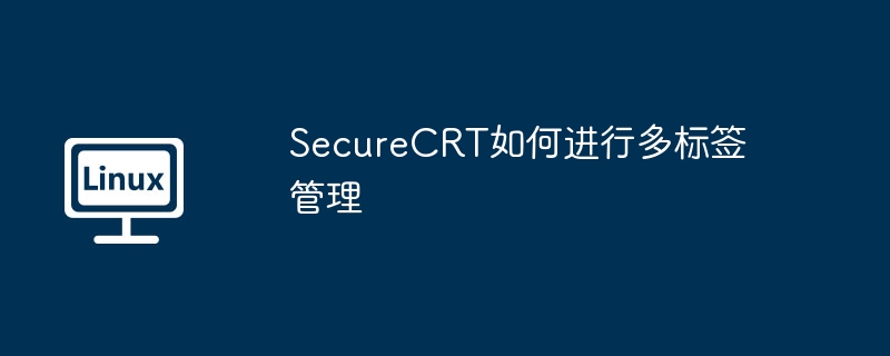 SecureCRT如何进行多标签管理