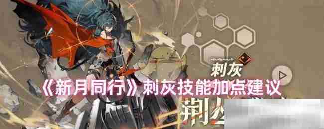 《新月同行》刺灰技能加点建议