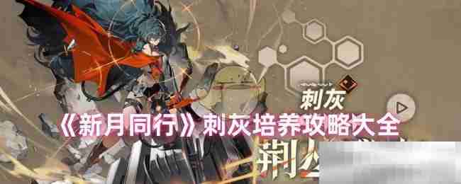 《新月同行》刺灰培养攻略大全