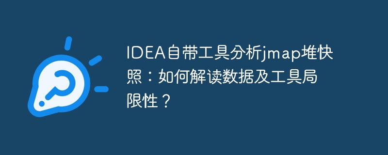 IDEA自带工具分析jmap堆快照：如何解读数据及工具局限性？