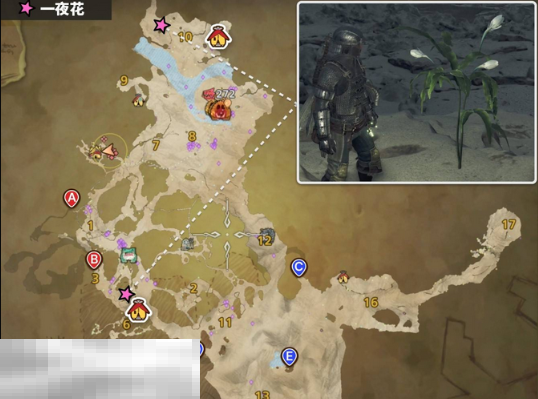 怪物猎人荒野一夜花的月华粉位置及获取方法 一夜花的月华粉在哪