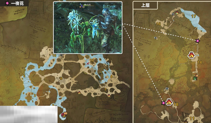 怪物猎人荒野一夜花的月华粉位置及获取方法 一夜花的月华粉在哪
