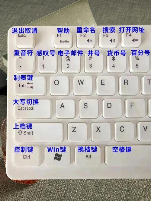 电脑禁止鼠标访问的办法，Win11 禁用鼠标设备方法