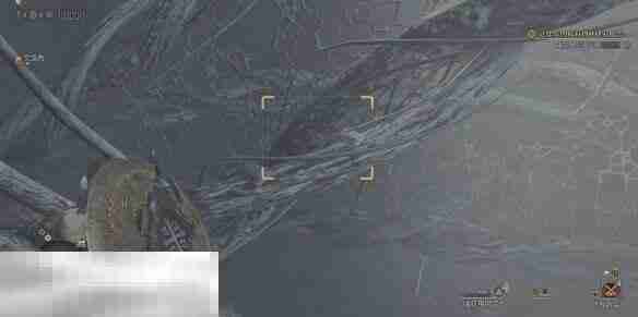 怪物猎人荒野大虚无动在哪 大虚无动位置及捕捉方法介绍