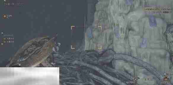 怪物猎人荒野大虚无动在哪 大虚无动位置及捕捉方法介绍