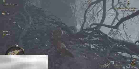 怪物猎人荒野大虚无动在哪 大虚无动位置及捕捉方法介绍