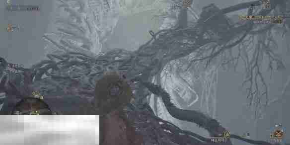 怪物猎人荒野大虚无动在哪 大虚无动位置及捕捉方法介绍