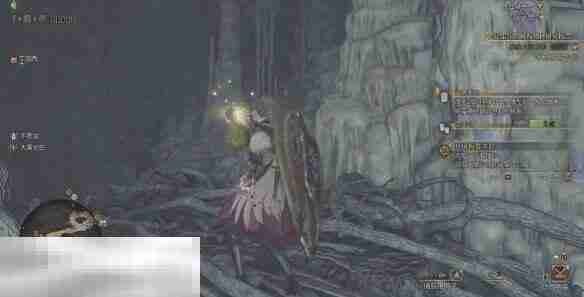 怪物猎人荒野大虚无动在哪 大虚无动位置及捕捉方法介绍