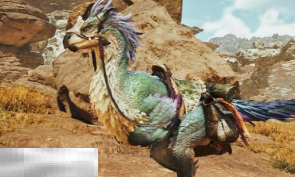 怪物猎人荒野大虚无动在哪 大虚无动位置及捕捉方法介绍