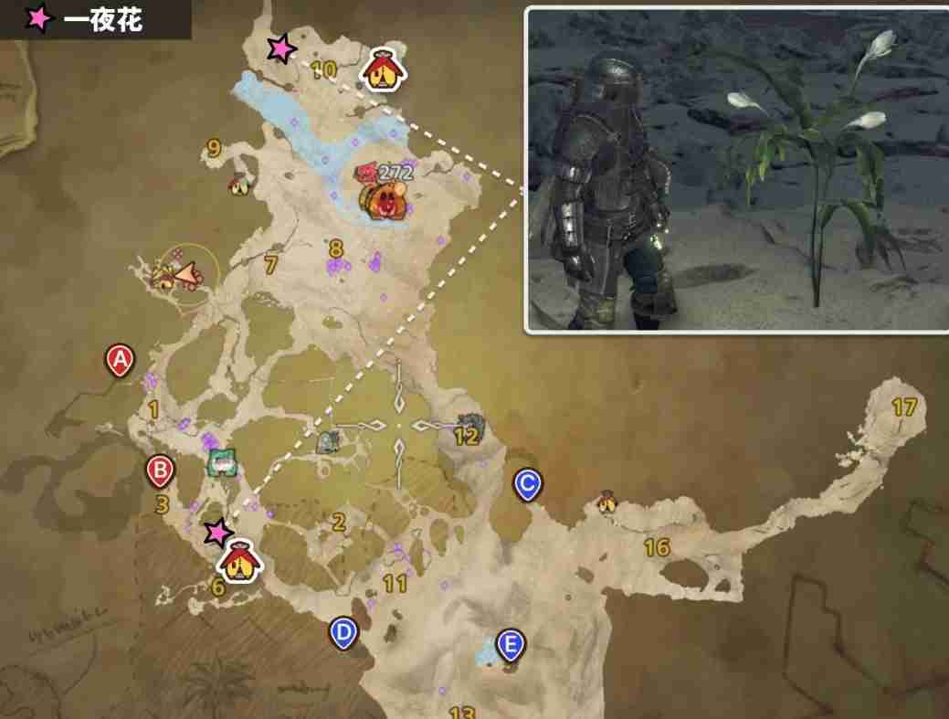 怪物猎人荒野一夜花的月华粉怎么获得