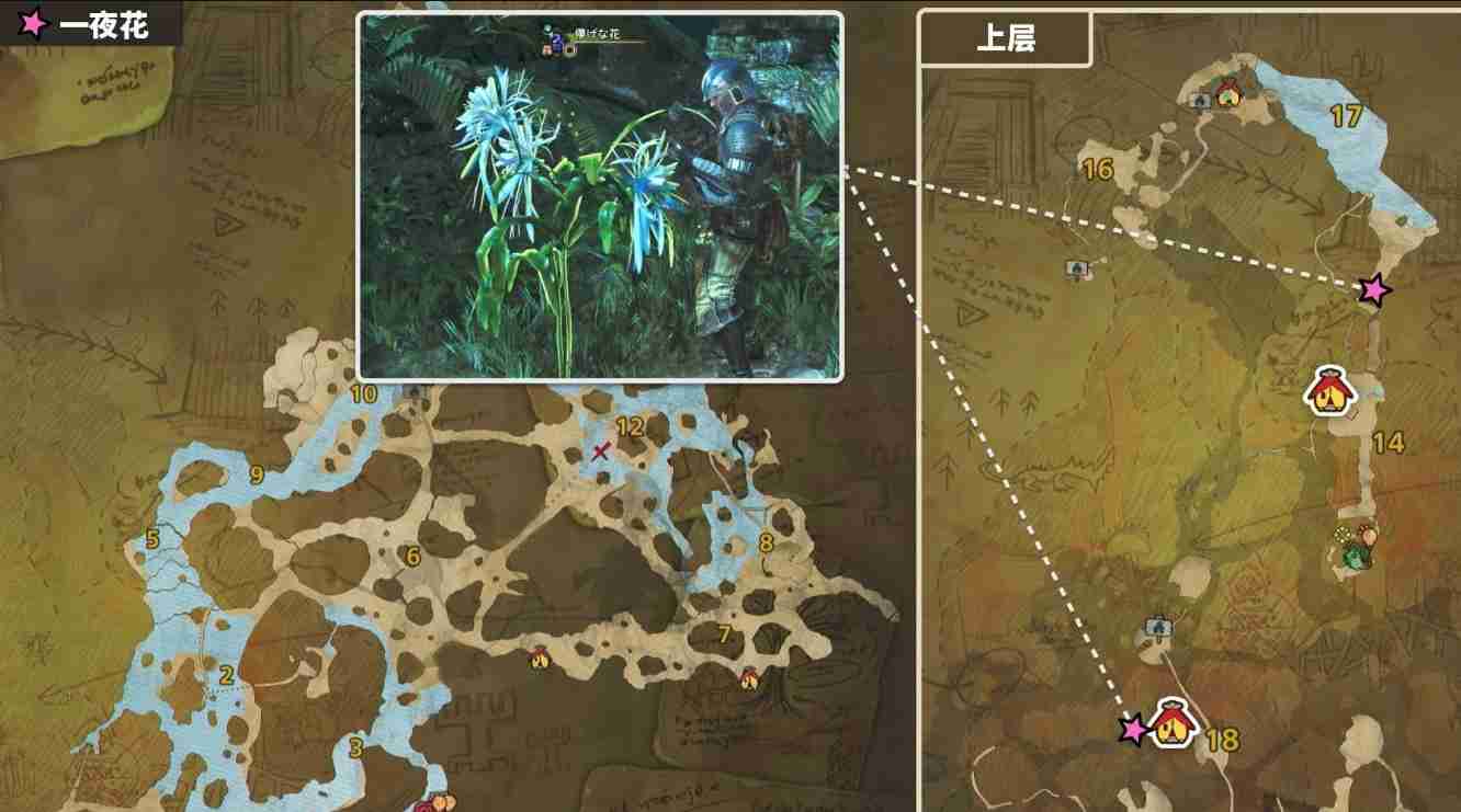 怪物猎人荒野一夜花的月华粉怎么获得