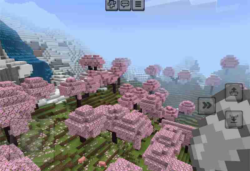 我的世界花海种子代码分享