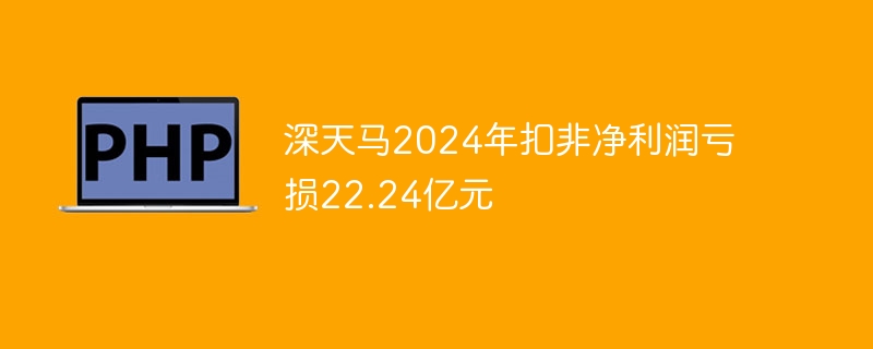 深天马2024年扣非净利润亏损22.24亿元