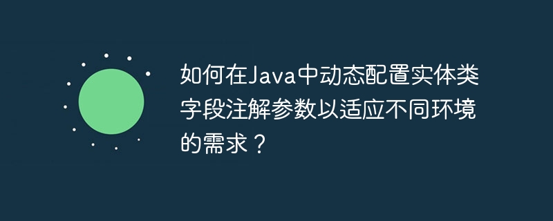 如何在Java中动态配置实体类字段注解参数以适应不同环境的需求？
