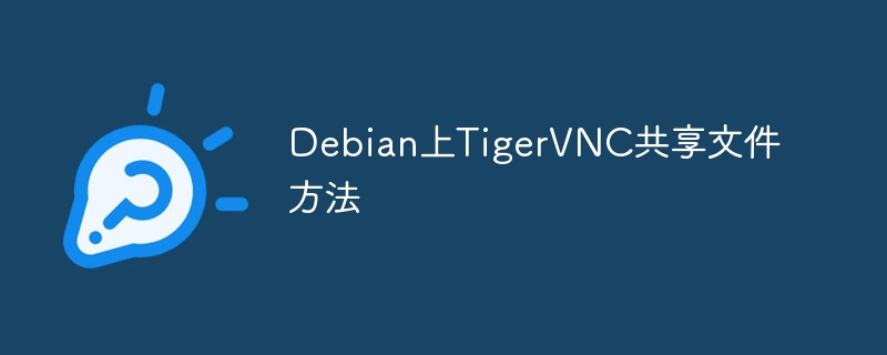 Debian上TigerVNC共享文件方法