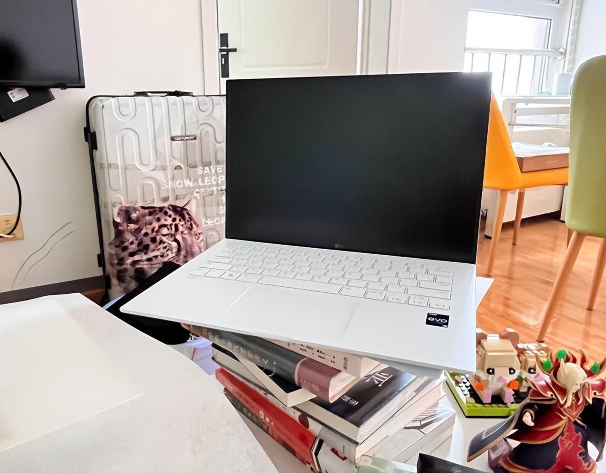 LG 乐金 gram值得买吗（lg笔记本电脑怎么样）