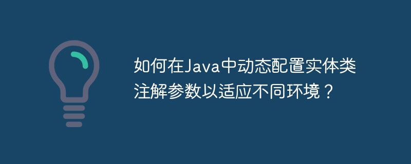 如何在Java中动态配置实体类注解参数以适应不同环境？