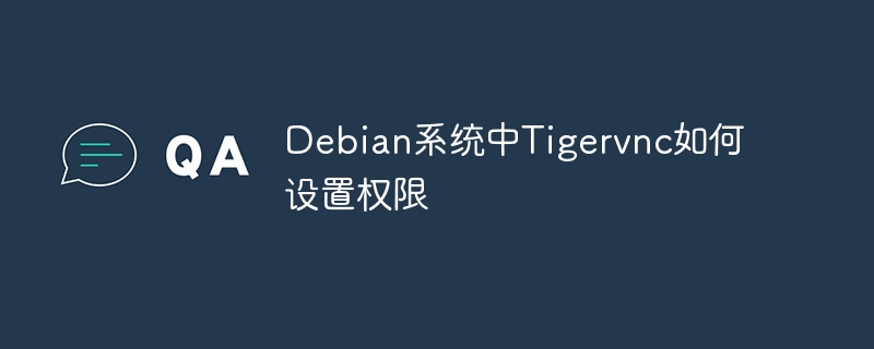 Debian系统中Tigervnc如何设置权限