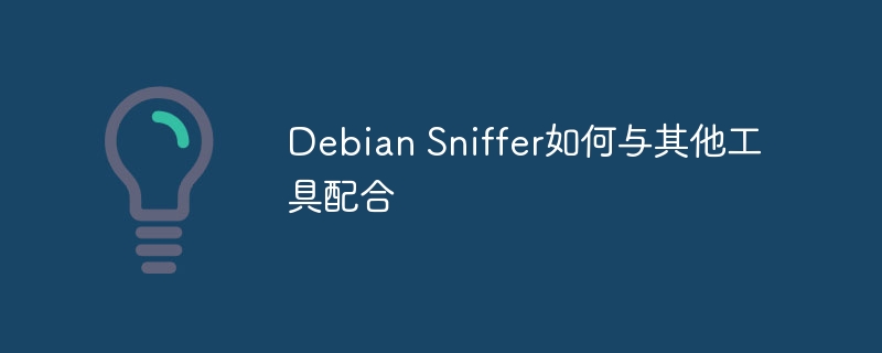 Debian Sniffer如何与其他工具配合