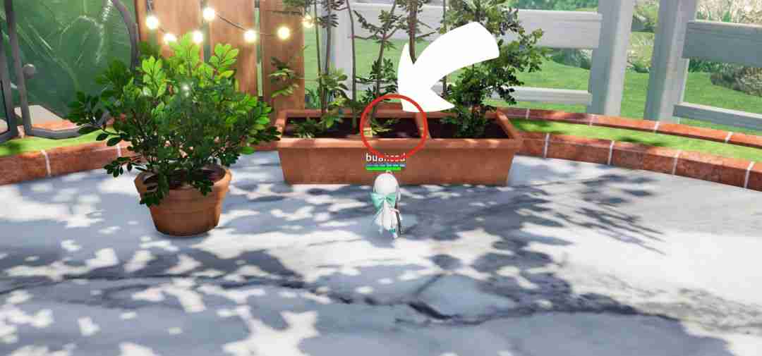 开放空间瓶中小径全收集攻略